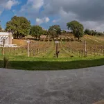 Atrium Vinea Brintziki Winery 公寓 Smila