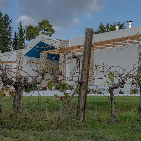 Atrium Vinea Brintziki Winery * Smila