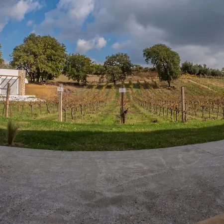 Atrium Vinea Brintziki Winery アパート Smila