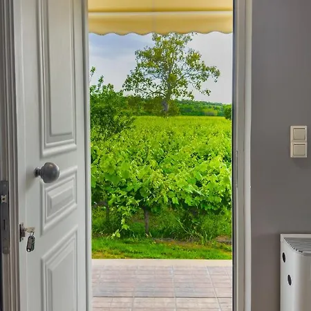 Atrium Vinea Brintziki Winery