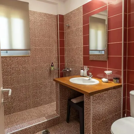 Atrium Vinea Brintziki Winery Apartment Smila