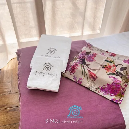 Atrium Vinea Brintziki Winery アパート