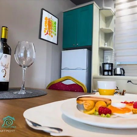 Atrium Vinea Brintziki Winery * Smila