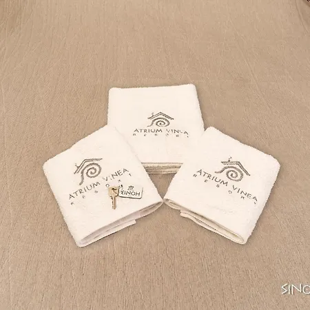 Atrium Vinea Brintziki Winery * Smila