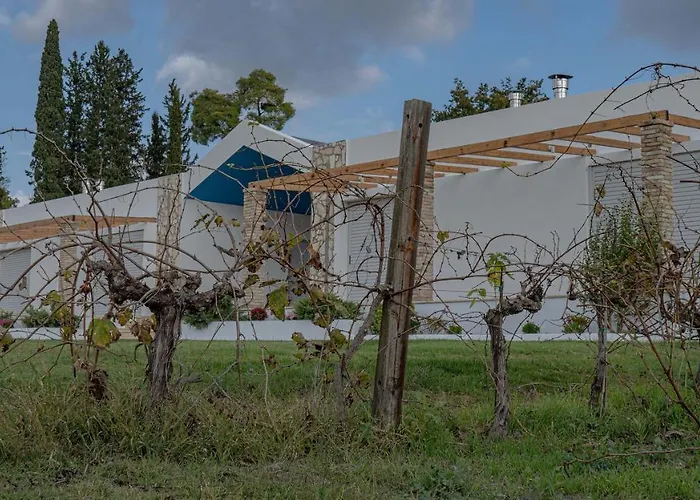 Atrium Vinea Brintziki Winery * Smila