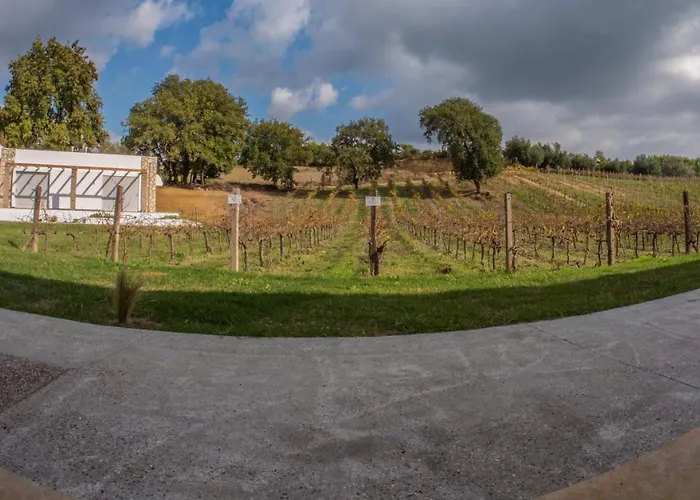 Atrium Vinea Brintziki Winery דירה Smila