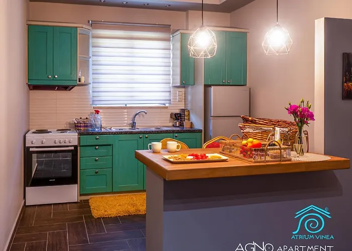 Atrium Vinea Brintziki Winery