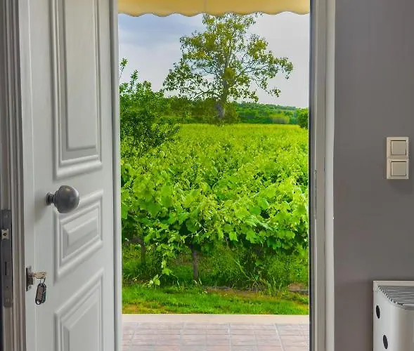 Atrium Vinea Brintziki Winery