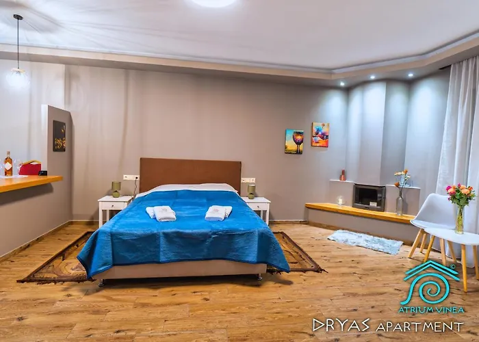 Atrium Vinea Brintziki Winery * Smila