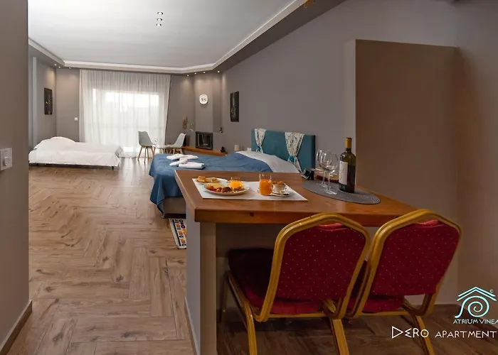 Atrium Vinea Brintziki Winery Apartamento