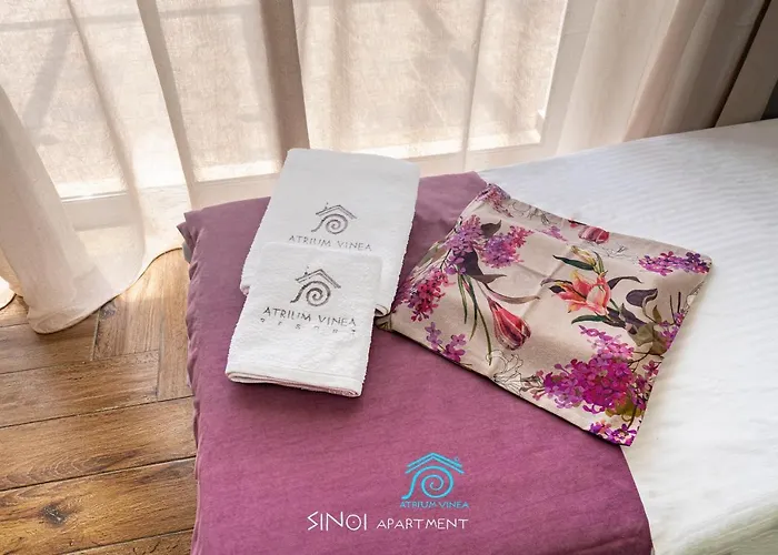 Atrium Vinea Brintziki Winery Διαμέρισμα