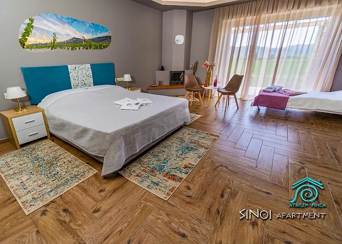 Διαμέρισμα Atrium Vinea Brintziki Winery *