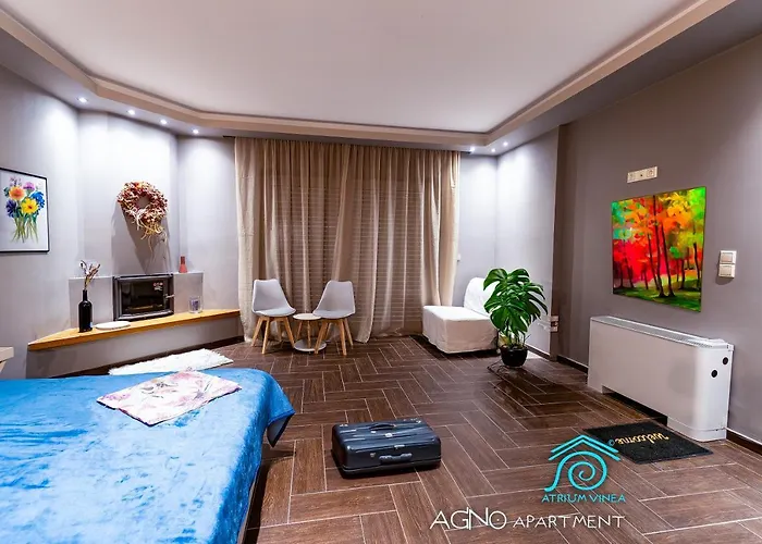 Apartamento Atrium Vinea Brintziki Winery