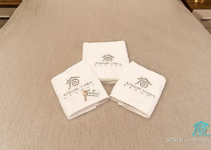 Atrium Vinea Brintziki Winery * Smila